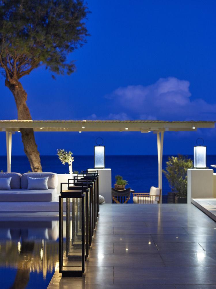Bellonias 4*