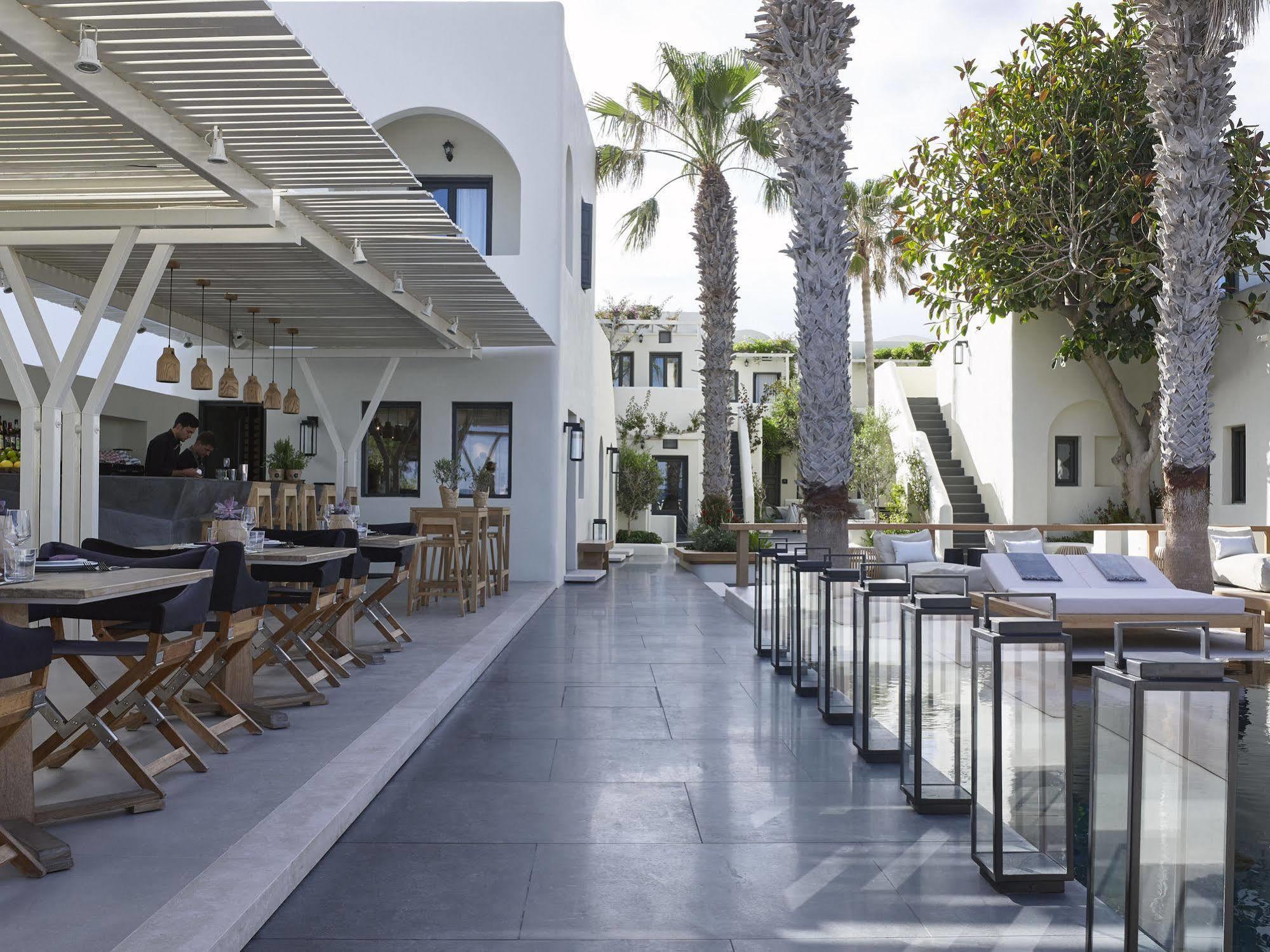 Bellonias 4*